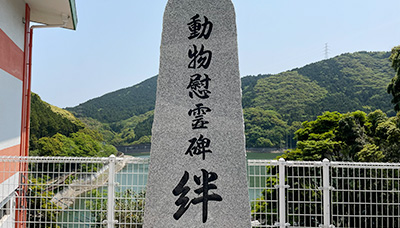 埋葬する共同墓地